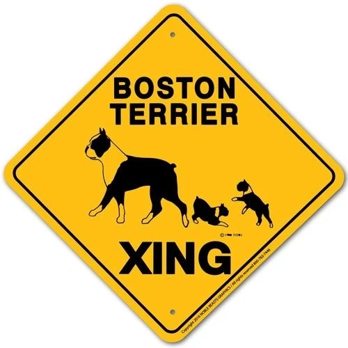Boston Terrier Xing Sign Aluminum 12 in X 12 in #20488