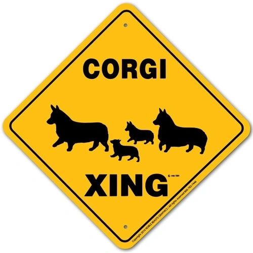 Corgi (Pembroke) Xing Sign Aluminum 12 in X 12 in #20372