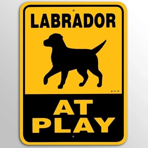 Labrador At Play Sign Aluminum 9 in X 12 in #32510432