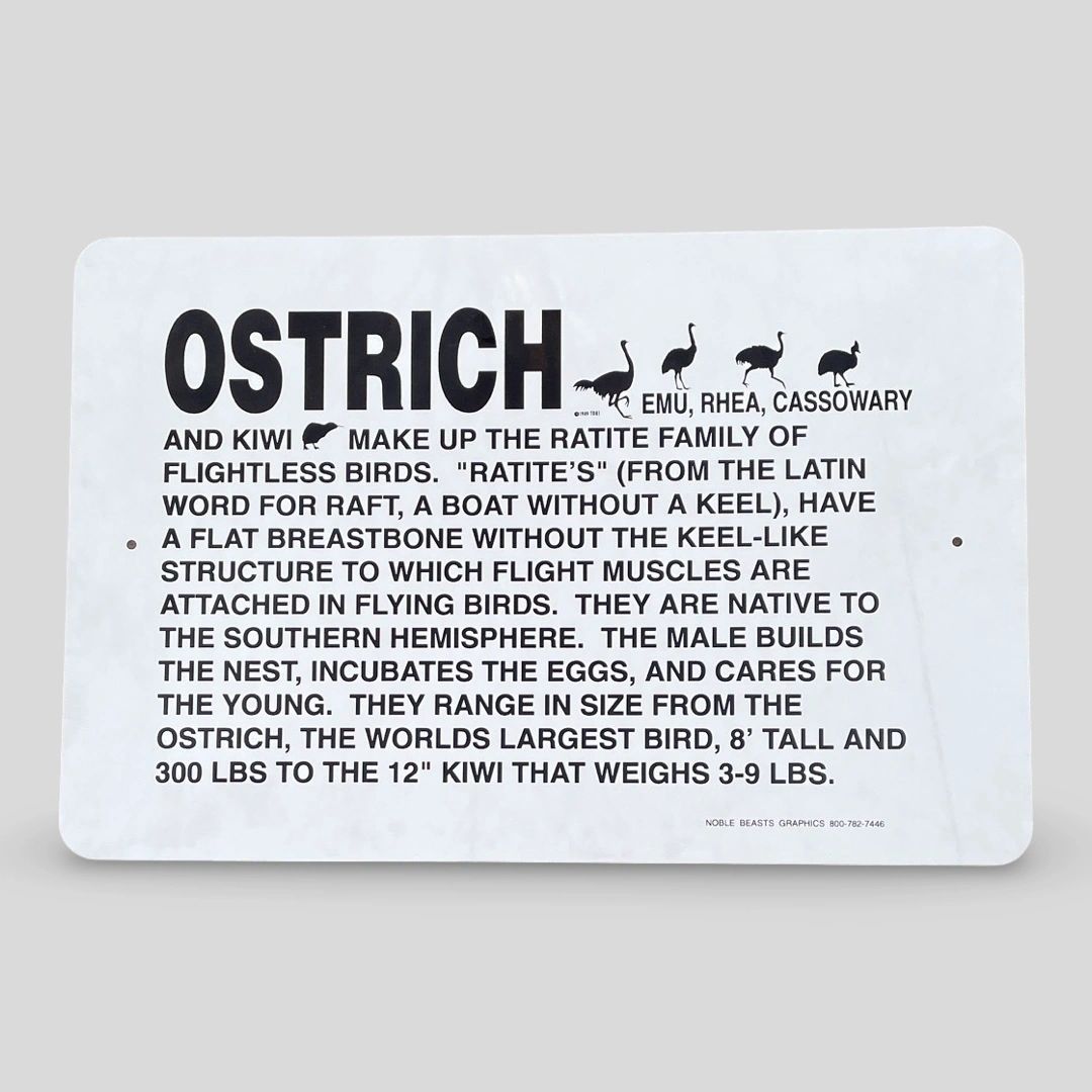 OSTRICH signage