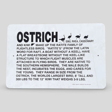OSTRICH signage
