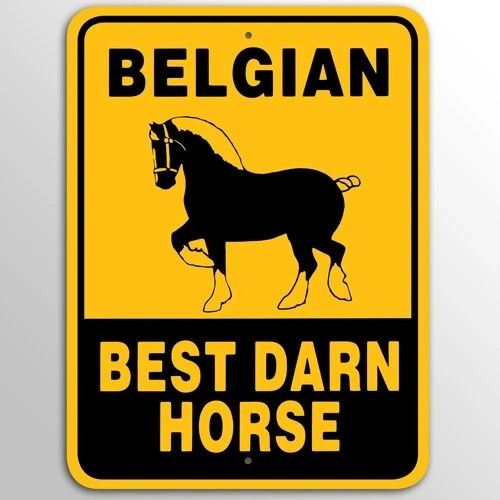 Best Darn Horse Belgian Sign Aluminum 12 in X 9 in #96003679