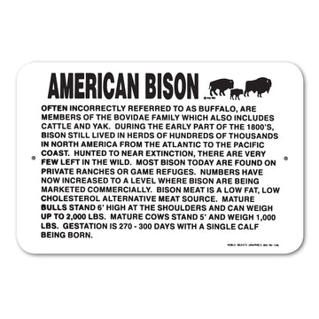 American bison sing