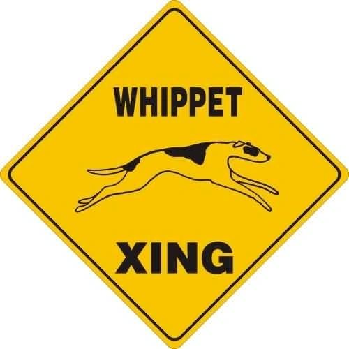 Whippet Xing Sign Aluminum 12 in X 12 in #20542