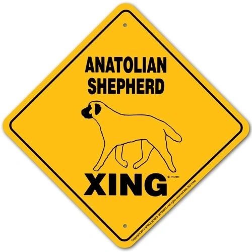 Anatolian Shepherd Xing Sign Aluminum 12 in X 12 in #20909