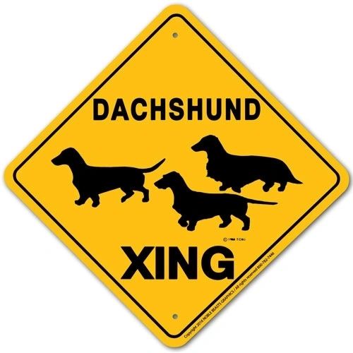 Dachshund All Coats Xing Sign Aluminum 12 in X 12 in #20452