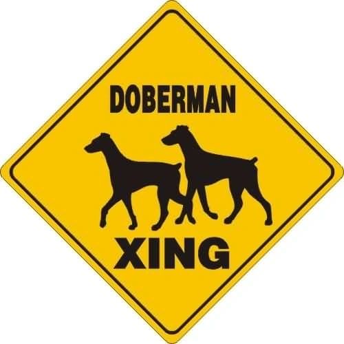 Doberman Xing Sign Aluminum 12 in X 12 in #20436