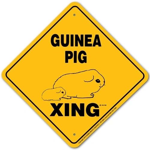 Guinea Pig Xing Sign Aluminum 12 in X 12 in #20749