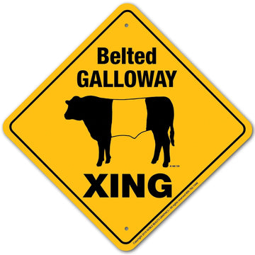 Belted GALLOWAY sing