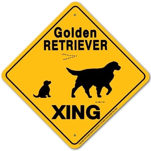 Golden Retriever Xing Sign Aluminum 12 in X 12 in #20464