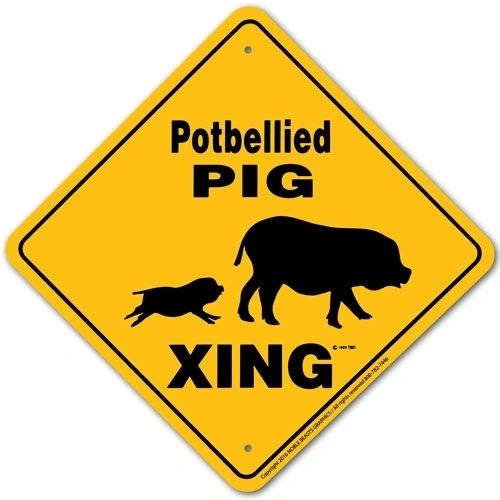 Potbellied Pig Xing Sign Aluminum 12 in X 12 in #20568