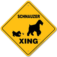 Schnauzer(Miniature Uncropped) Xing Sign Aluminum 12 in X 12 in #20964