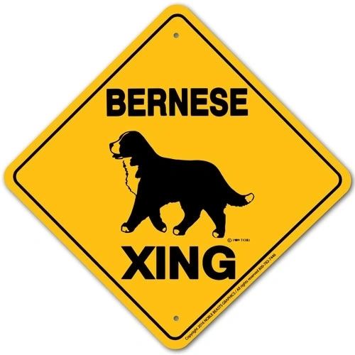 Bernese Xing Sign Aluminum 12 in X 12 in #20587