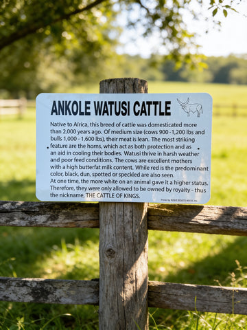 Watusi Information Sign Aluminum 12 in X 18 in #147720