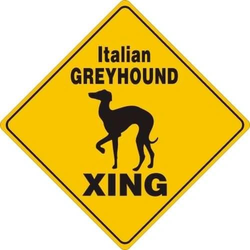 Italian Greyhound Xing Sign Aluminum 12 in X 12 in#20605