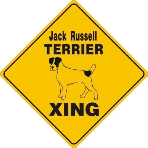 Jack Russell Terrier (Rough) Xing Sign Aluminum 12 in X 12 in #20020
