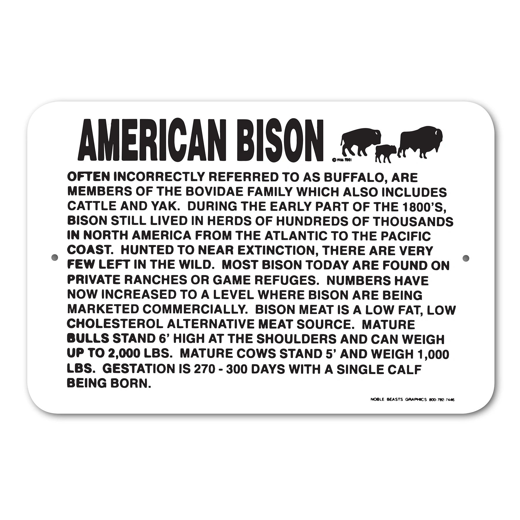 American bison sing