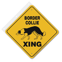 Border Collie Xing Sign Aluminum 12 in X 12 in #20585