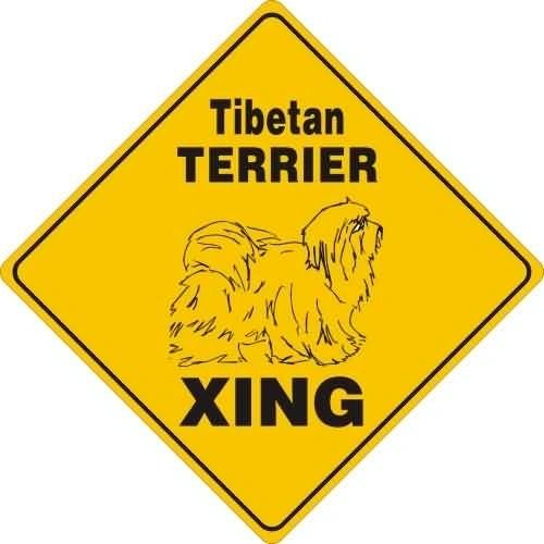 Tibetan Terrier Xing Sign Aluminum 12 in X 12 in #20650