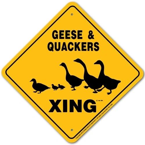 Geese & Quackers Xing Sign Aluminum 12 in X 12 in #20316