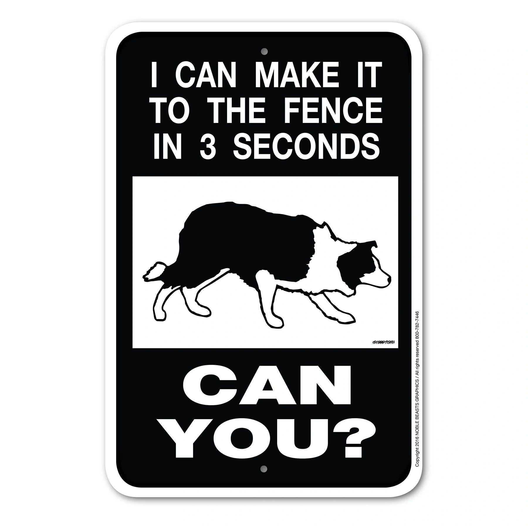 I CAN MAKE IT TO THE FENCE IN 3 SECONDS can you sing
