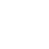 America icon