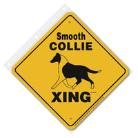 Smooth Collie Xing Sign Aluminum 12 in X 12 in #20739