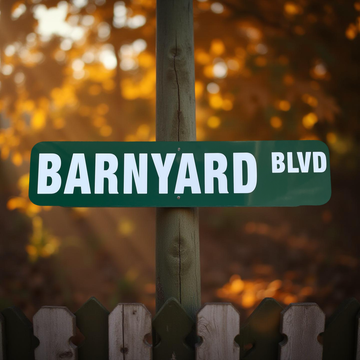 Aluminum_Street sign reading 'BARNYARD BLVD' against a blurred autumnal background.