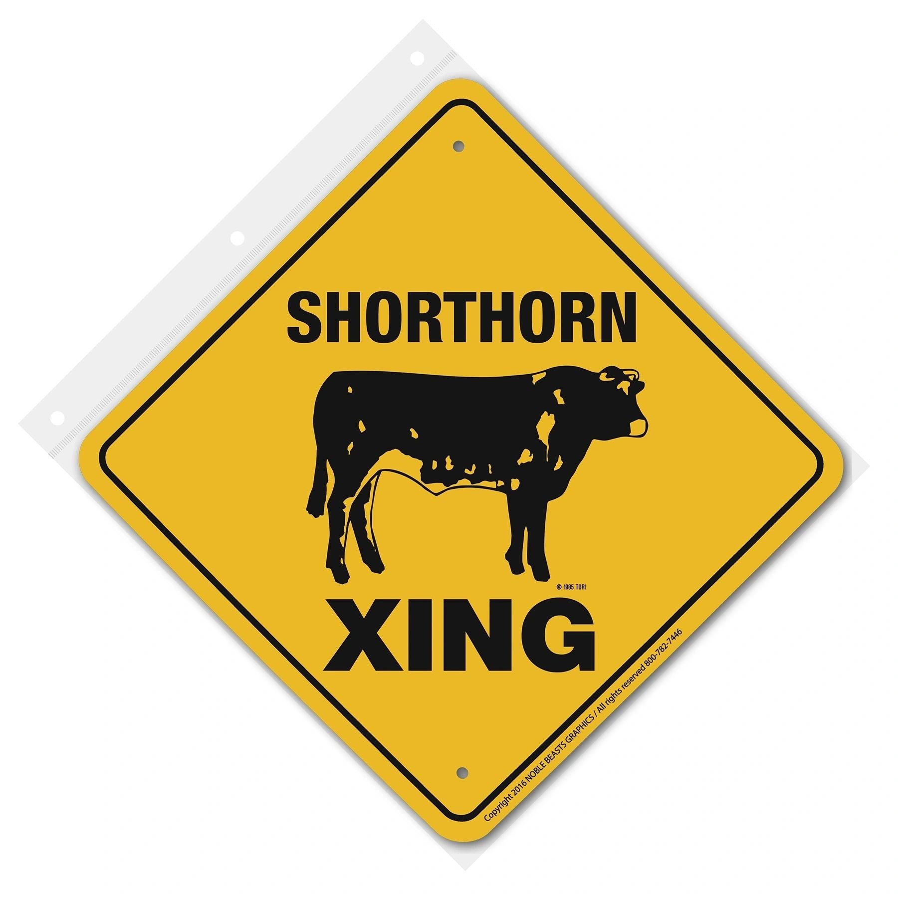 SHORTHORN sing
