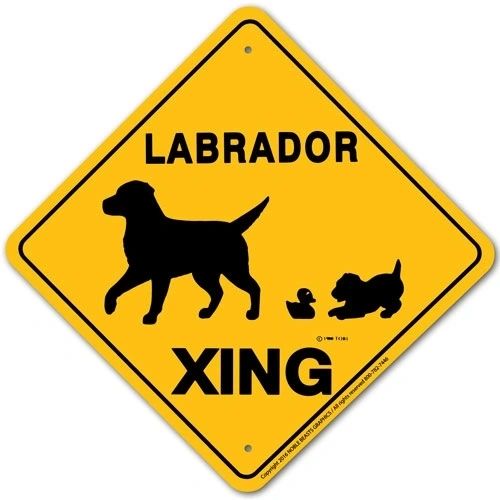 Labrador Xing Sign Aluminum 12 in X 12 in #20432