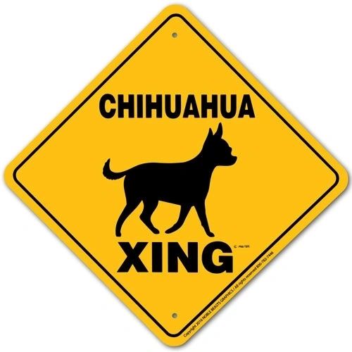Chihuahua Xing Sign Aluminum 12 in X 12 in #20498